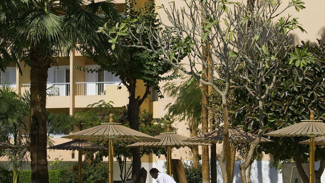 Photo of Outdoor in Luxor