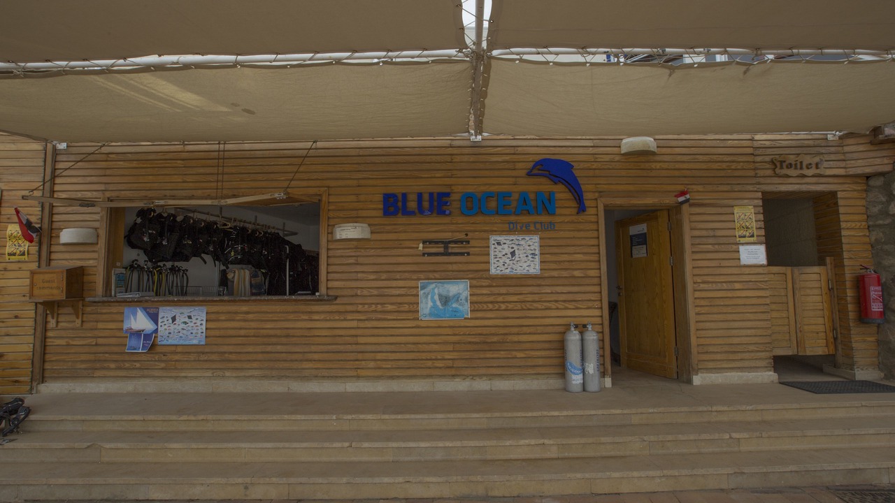 Photo of Others in Sharm El Sheikh