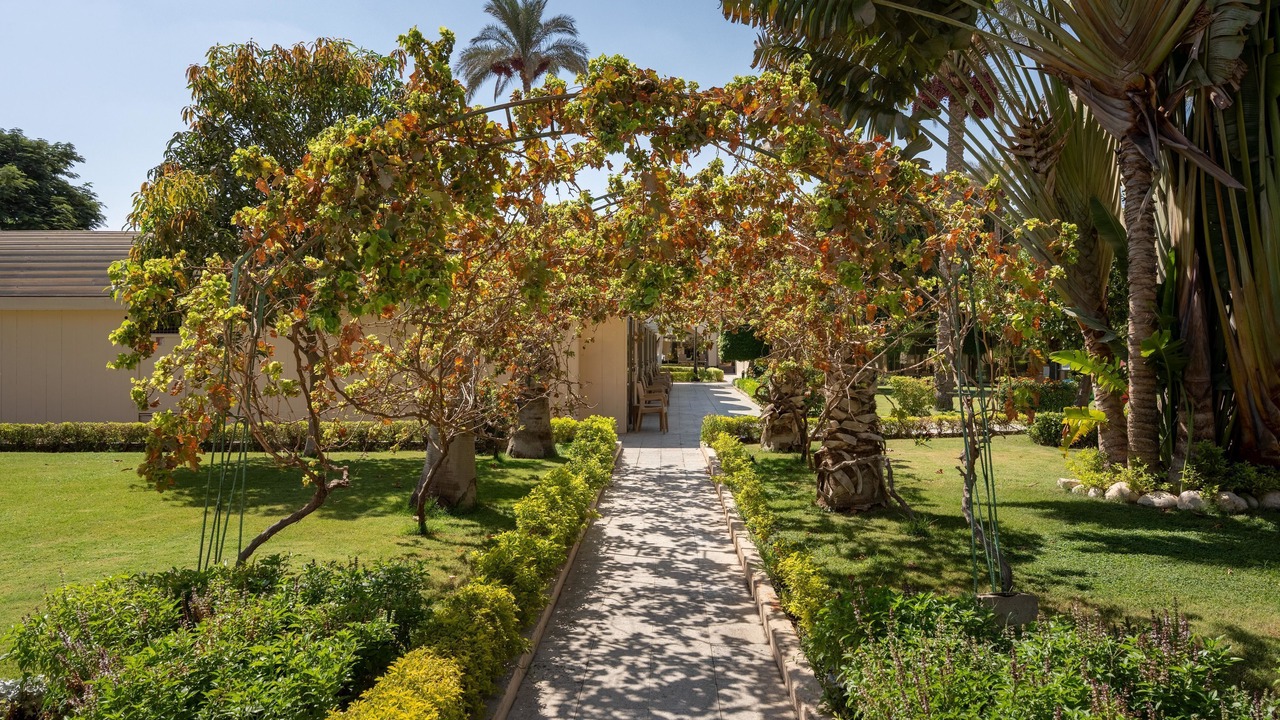 Photo of Outdoor in Giza