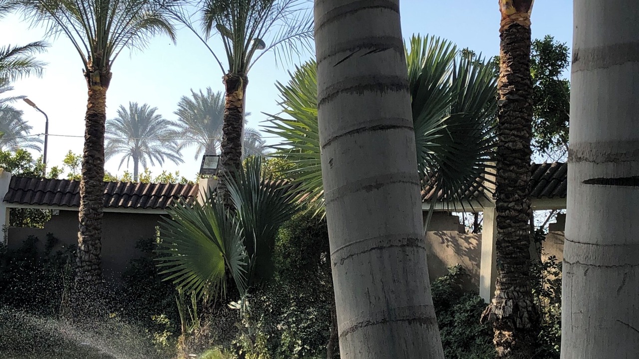 Photo of Outdoor in Mobarak City