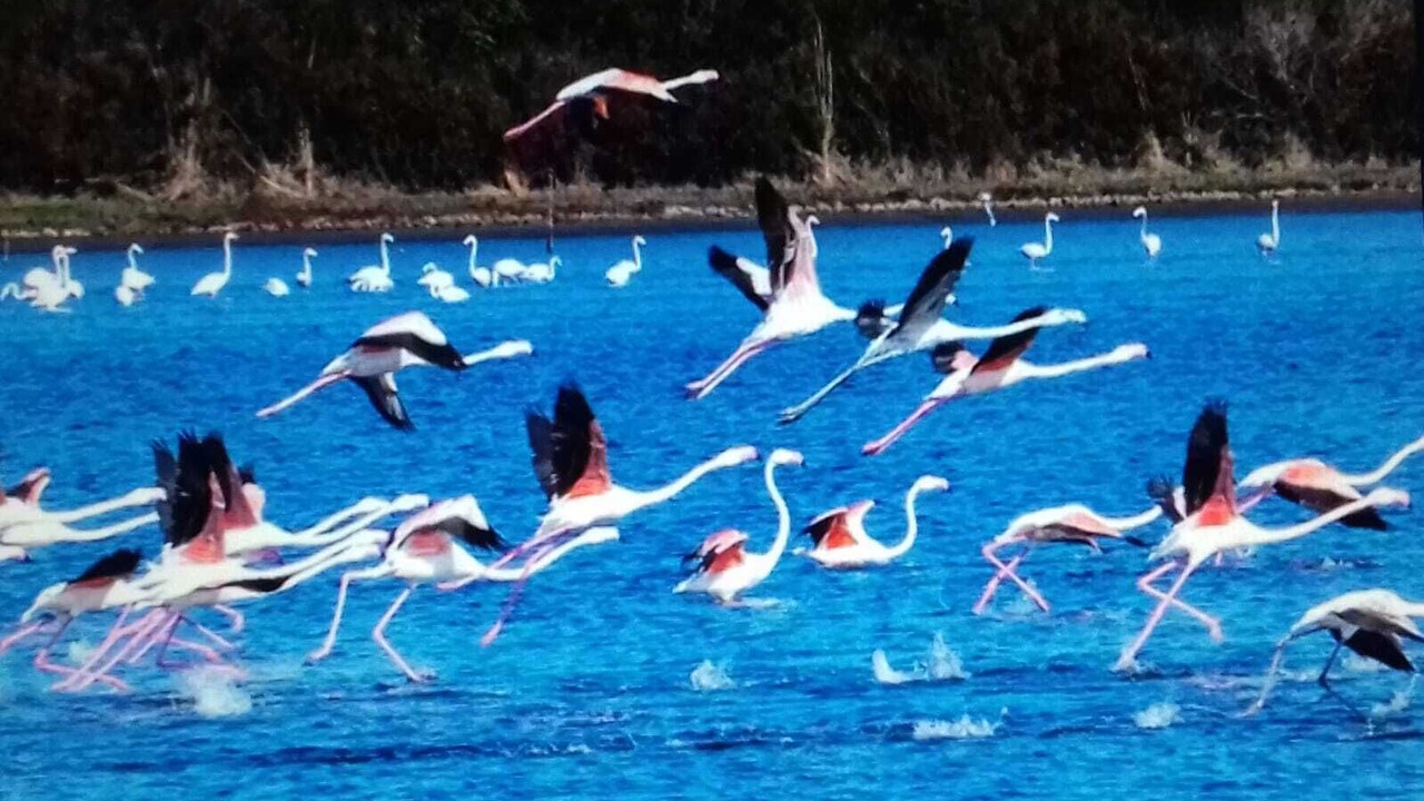 Photo of Others in Agios Spyridon Corfu