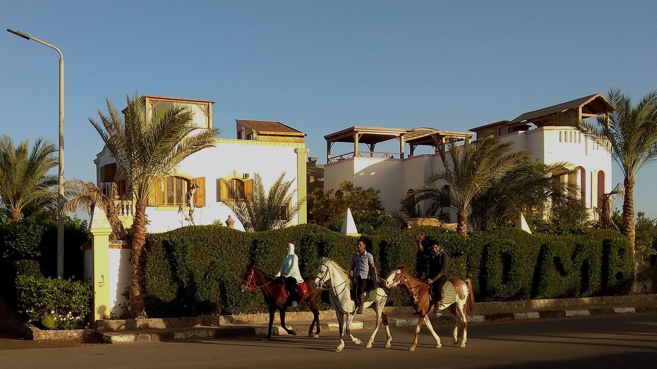 Photo of Outdoor in Dahab