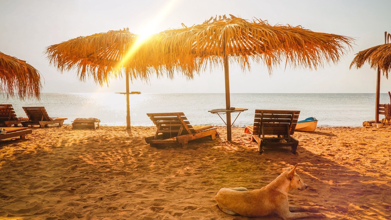Photo of Others in Dahab