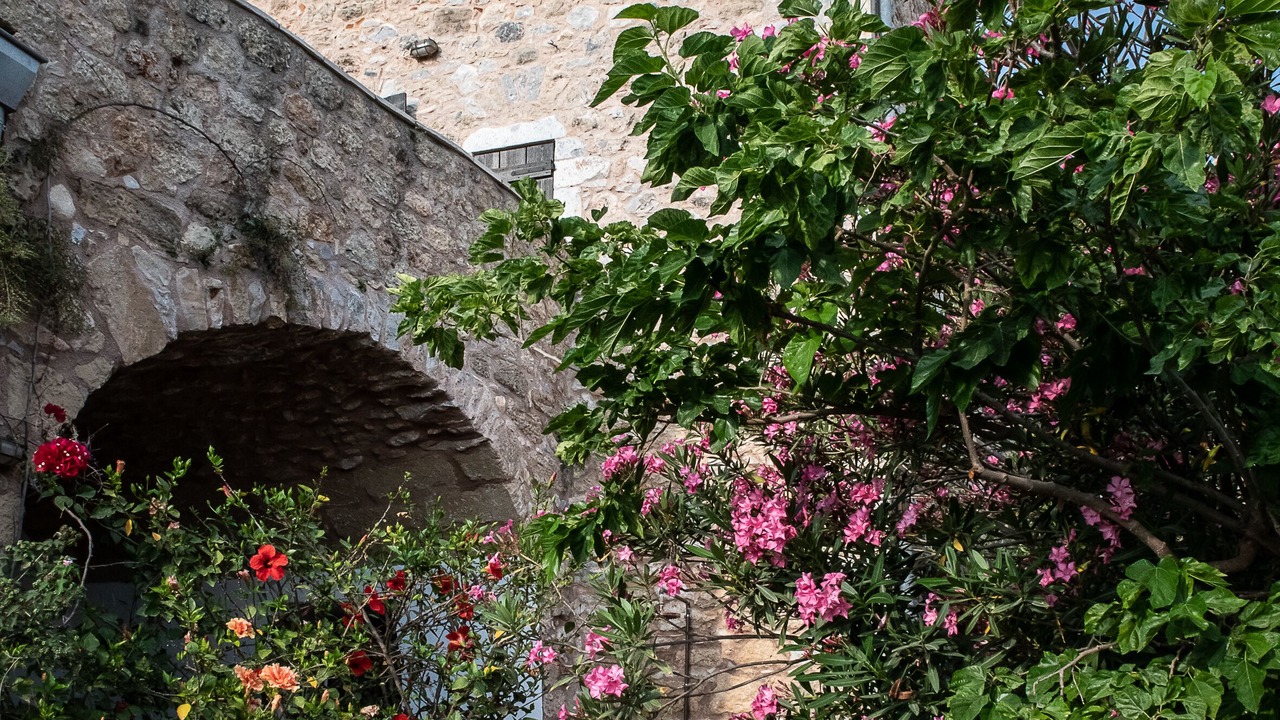 Photo of Outdoor in Lefktro