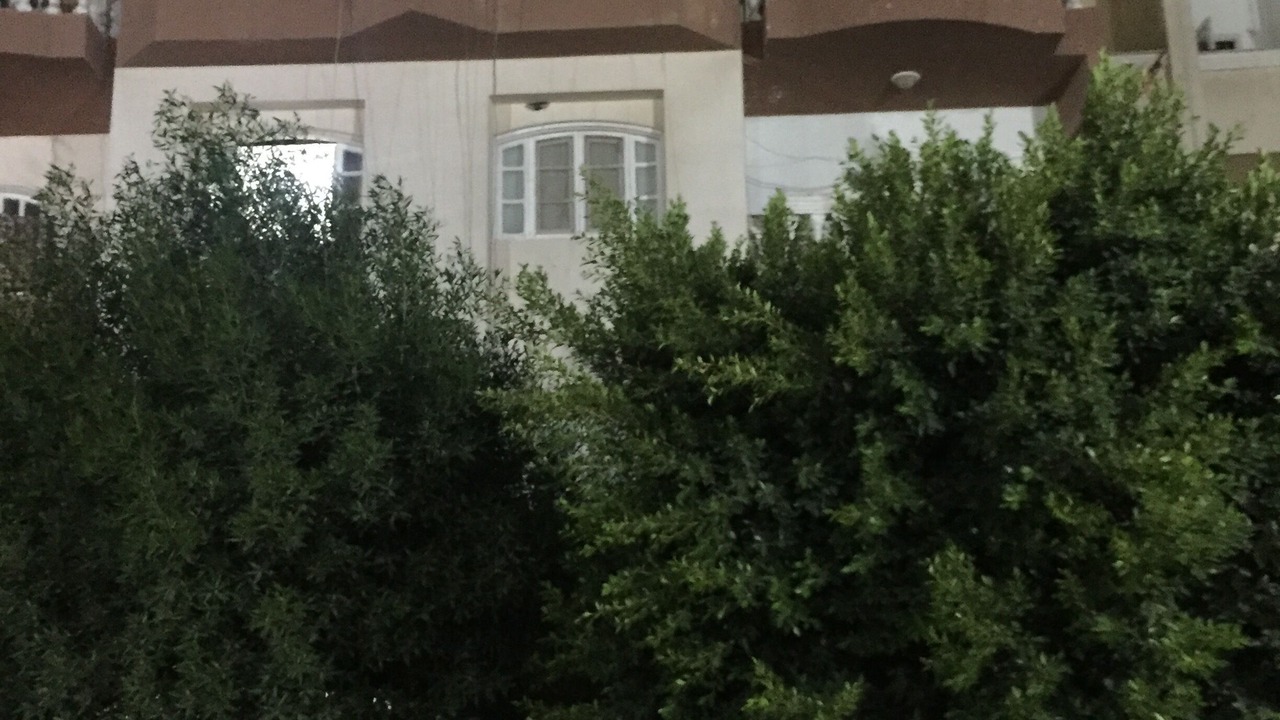 Photo of Outdoor in Village Road