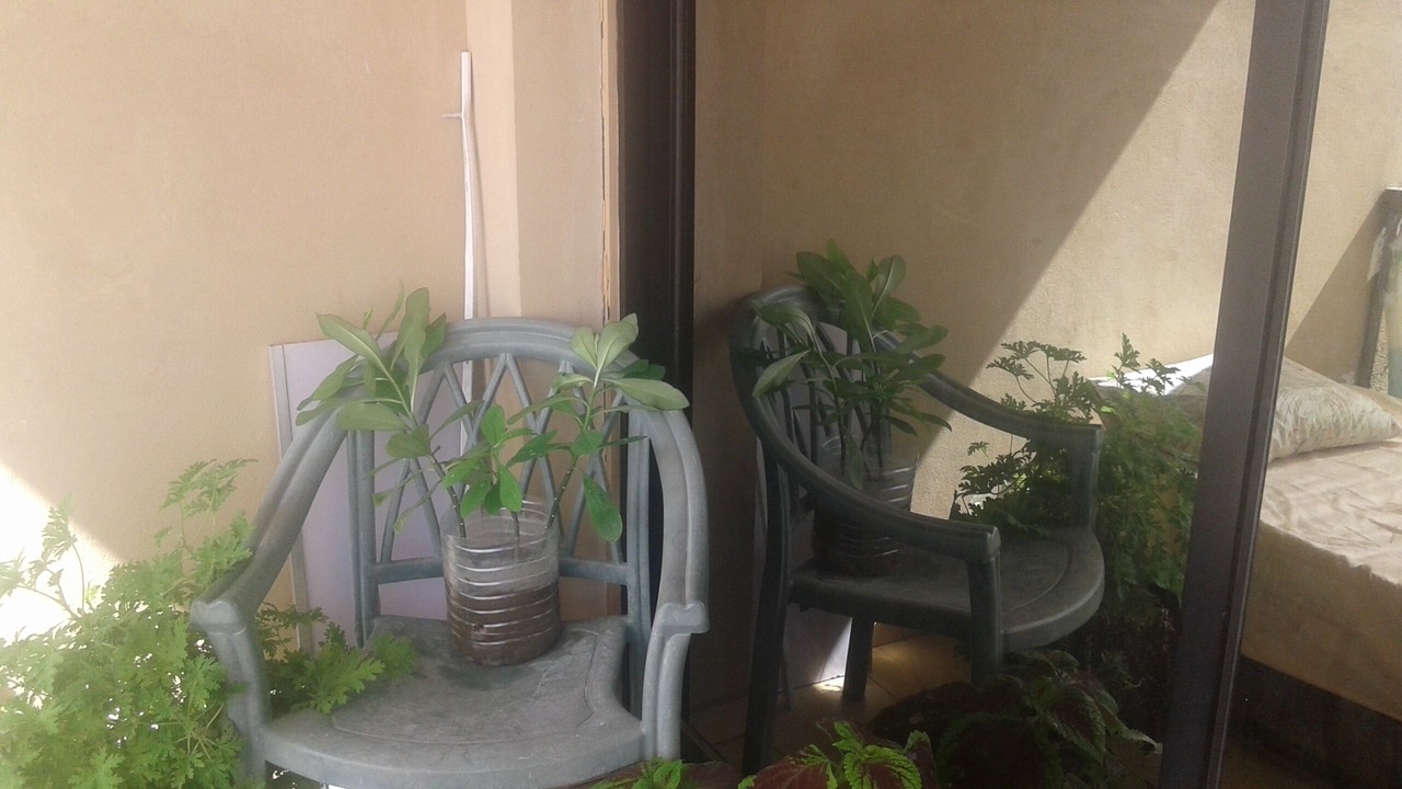 Photo of Outdoor in Sidi Jabir