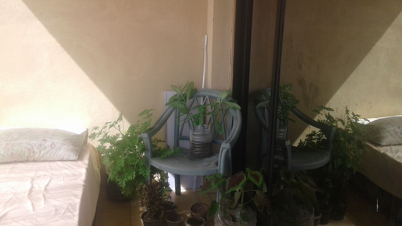 Photo of Bedroom in Sidi Jabir