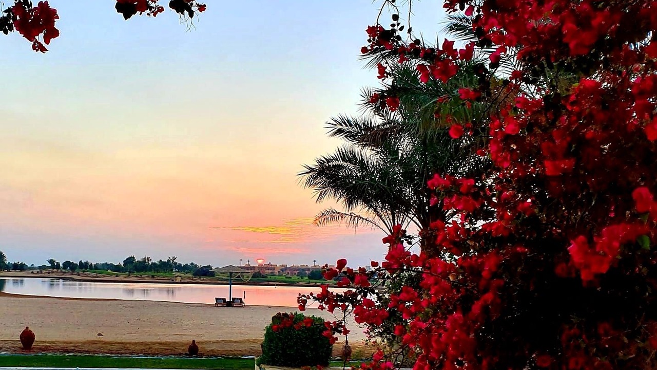 Photo of Outdoor in El Gouna