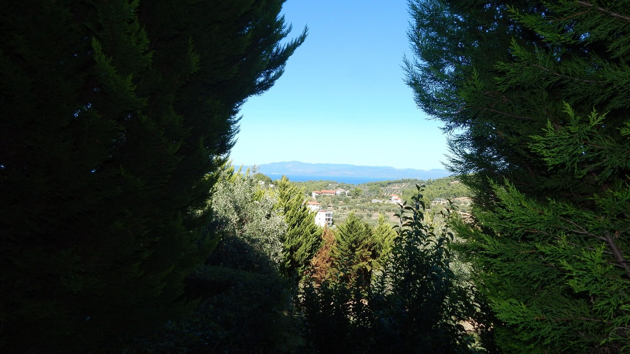 Photo of Outdoor in Paliouri