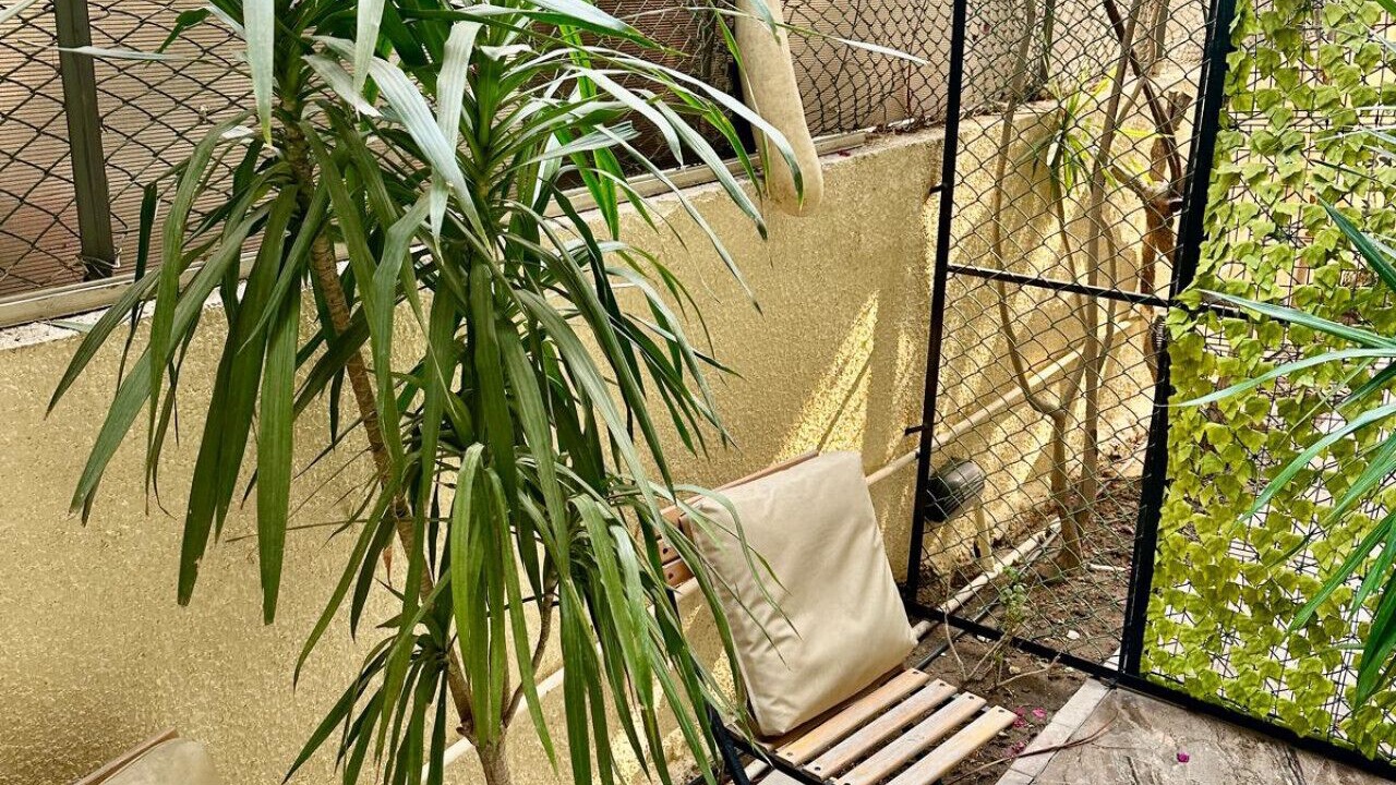 Photo of Patio Balcony in Heliopolis
