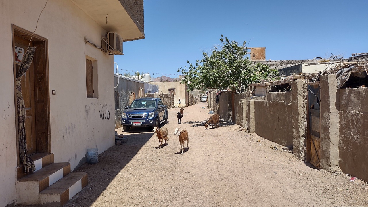 Photo of Outdoor in Dahab