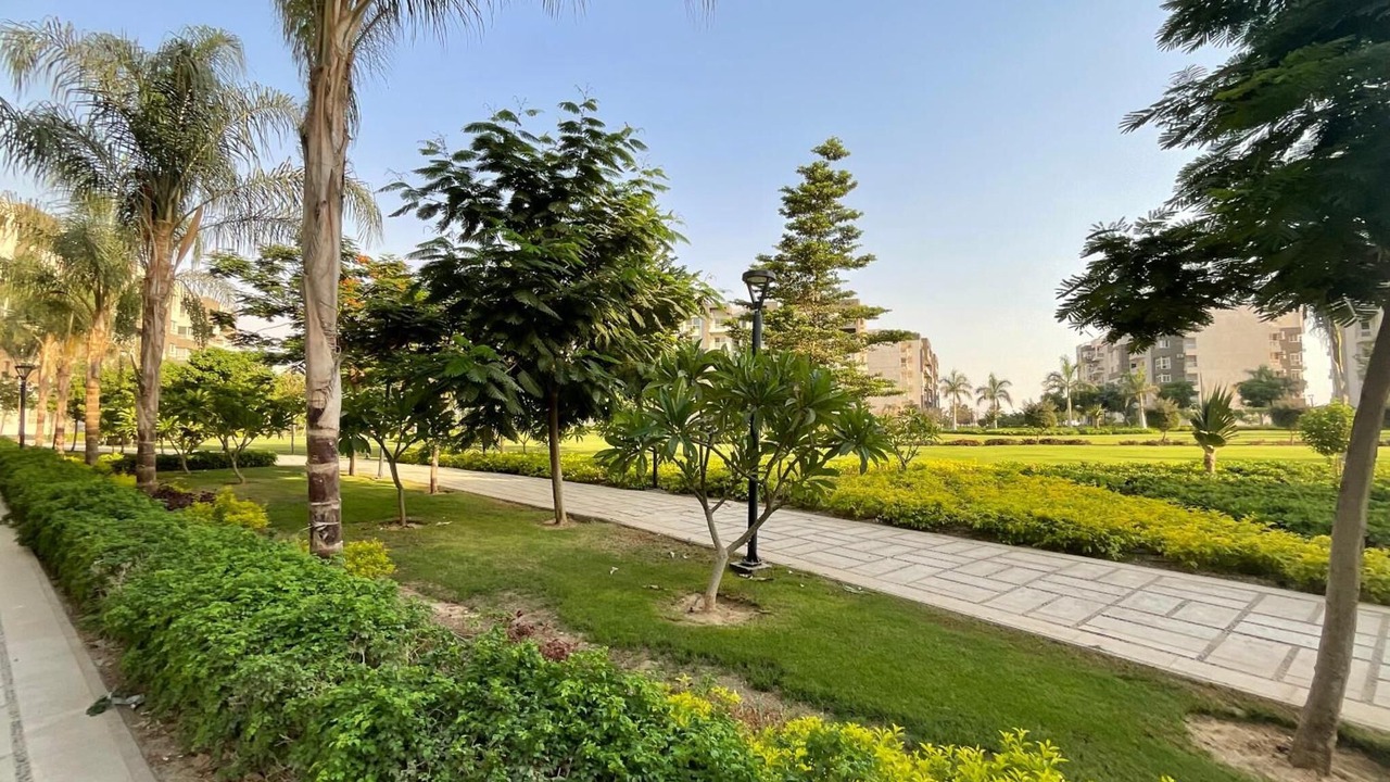 Photo of Outdoor in Madinaty