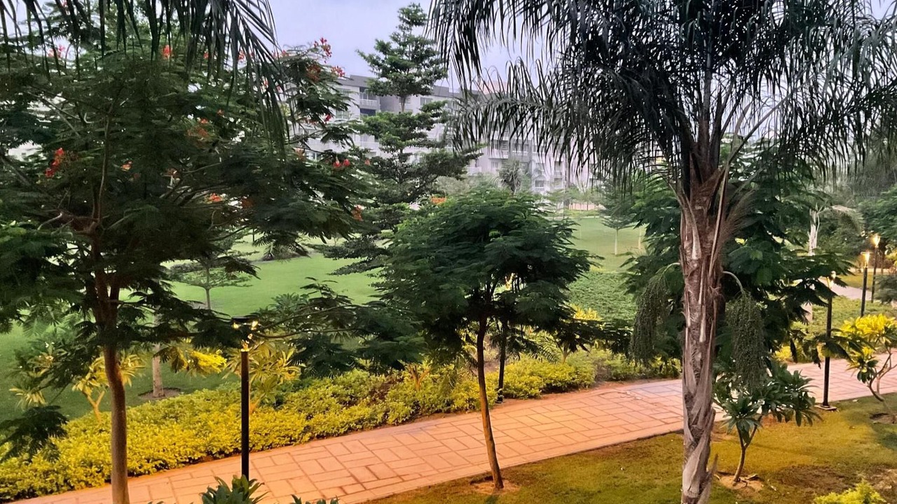 Photo of Outdoor in Madinaty