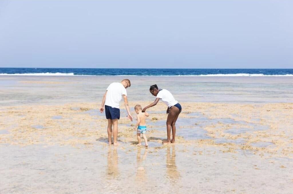 Photo of Others in Marsa Alam