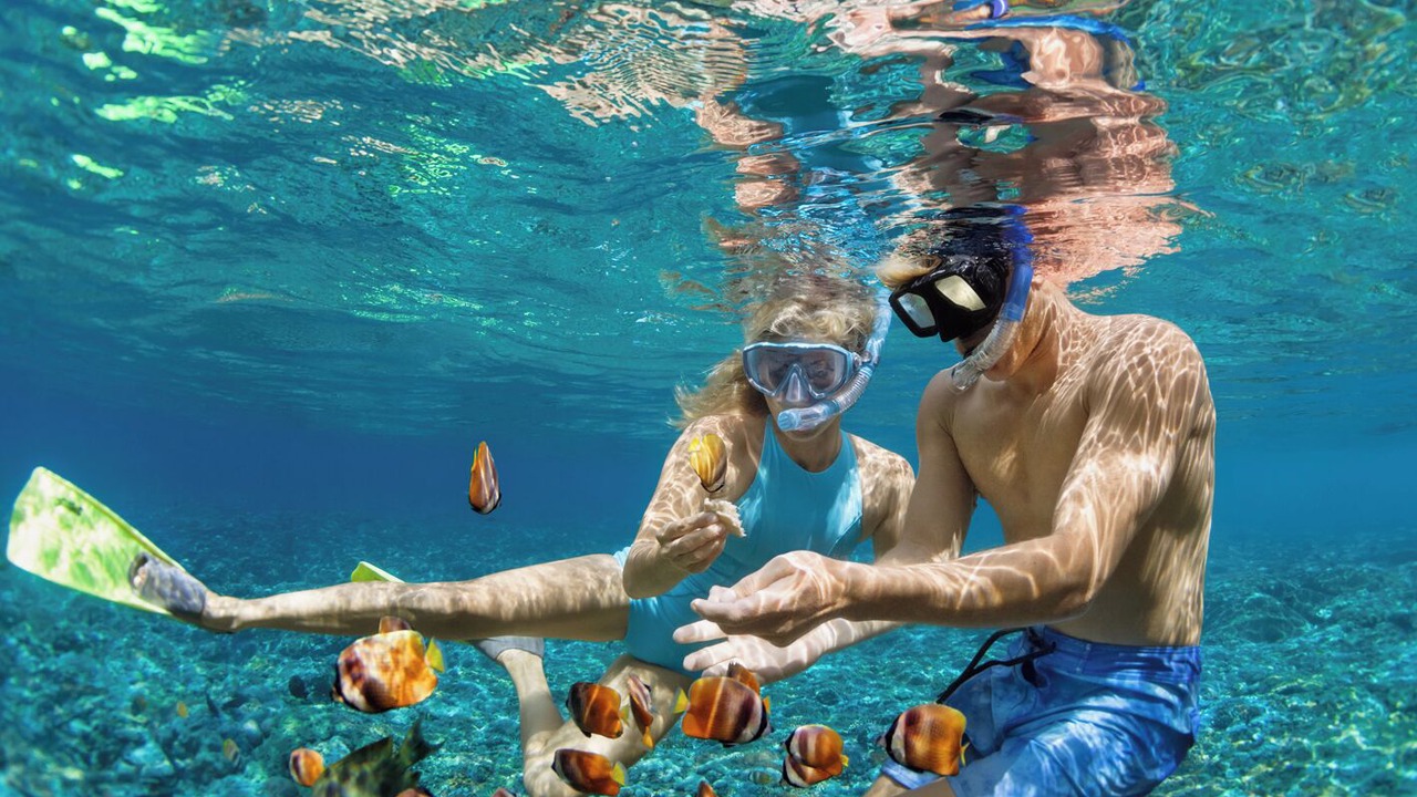 Photo of Others in Skiathos