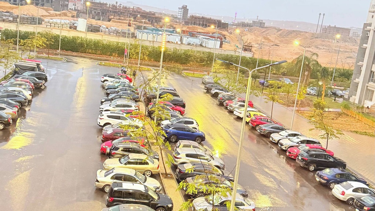 Photo of Others in Sheikh Zayed City