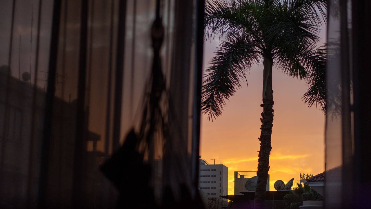 Photo of Others in Zamalek