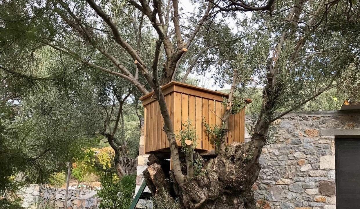 Photo of Outdoor in Mytilene