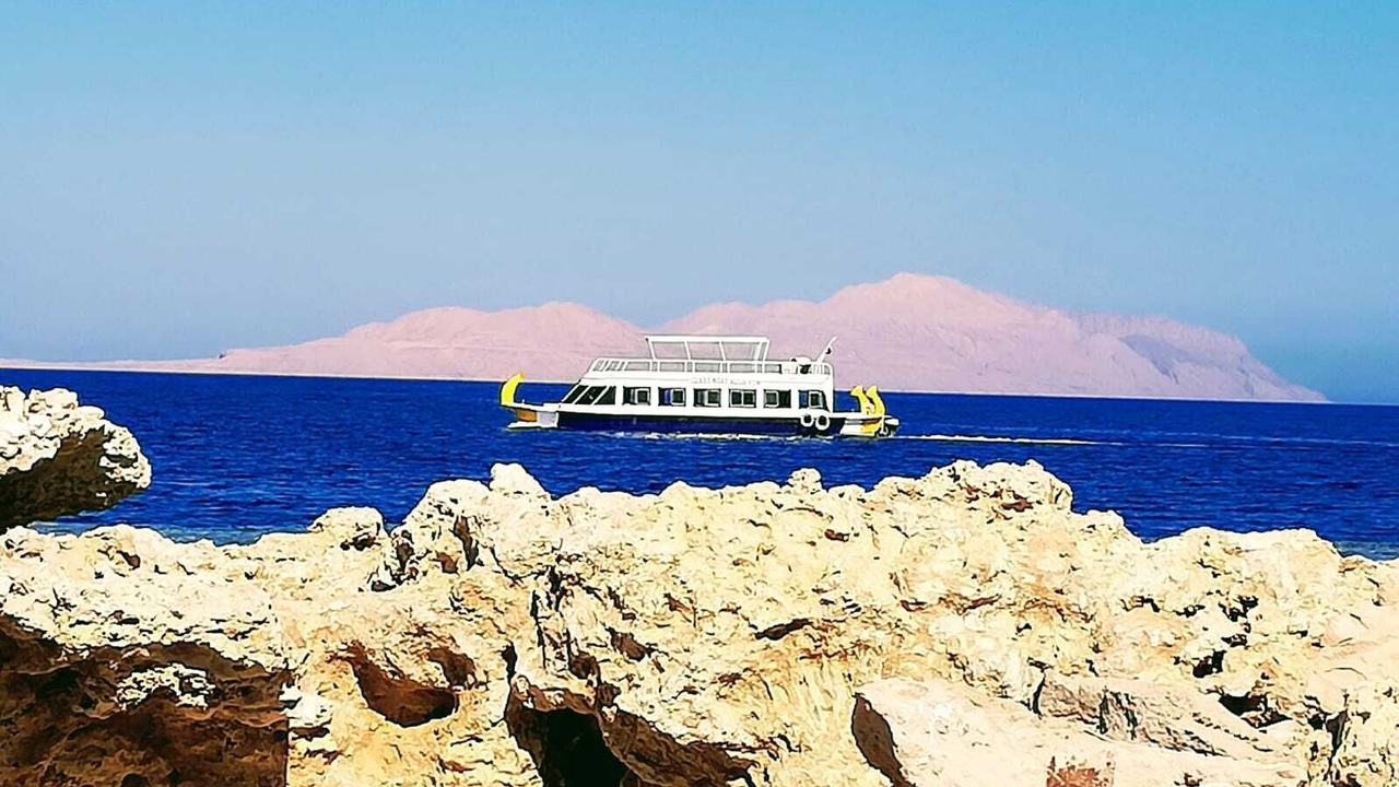 Photo of Others in Sharm El Sheikh