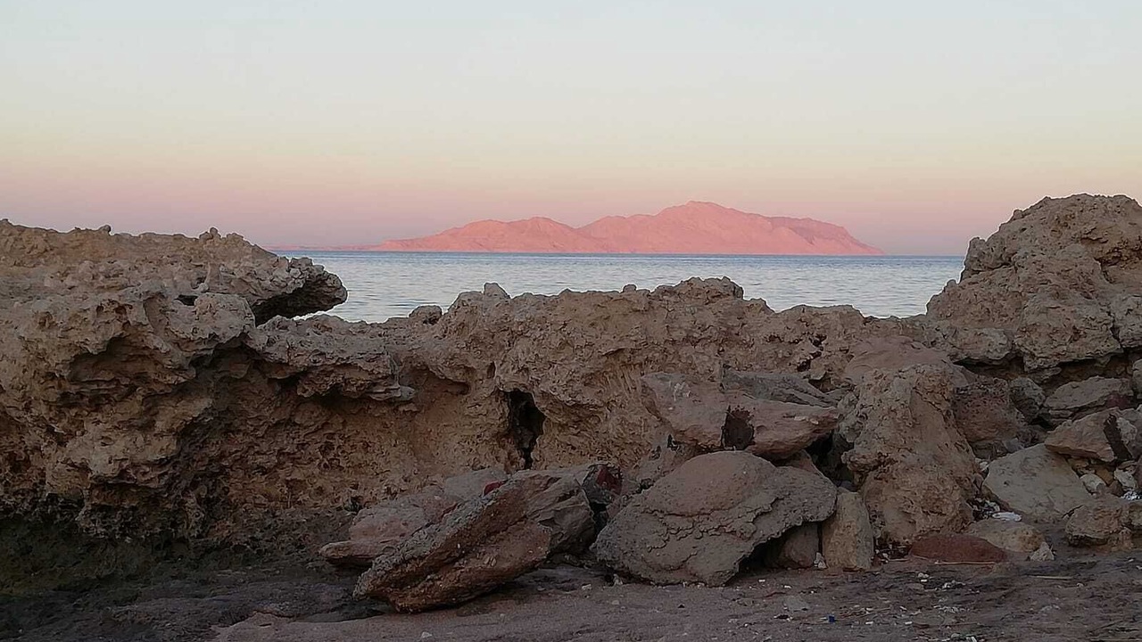 Photo of Others in Sharm El Sheikh