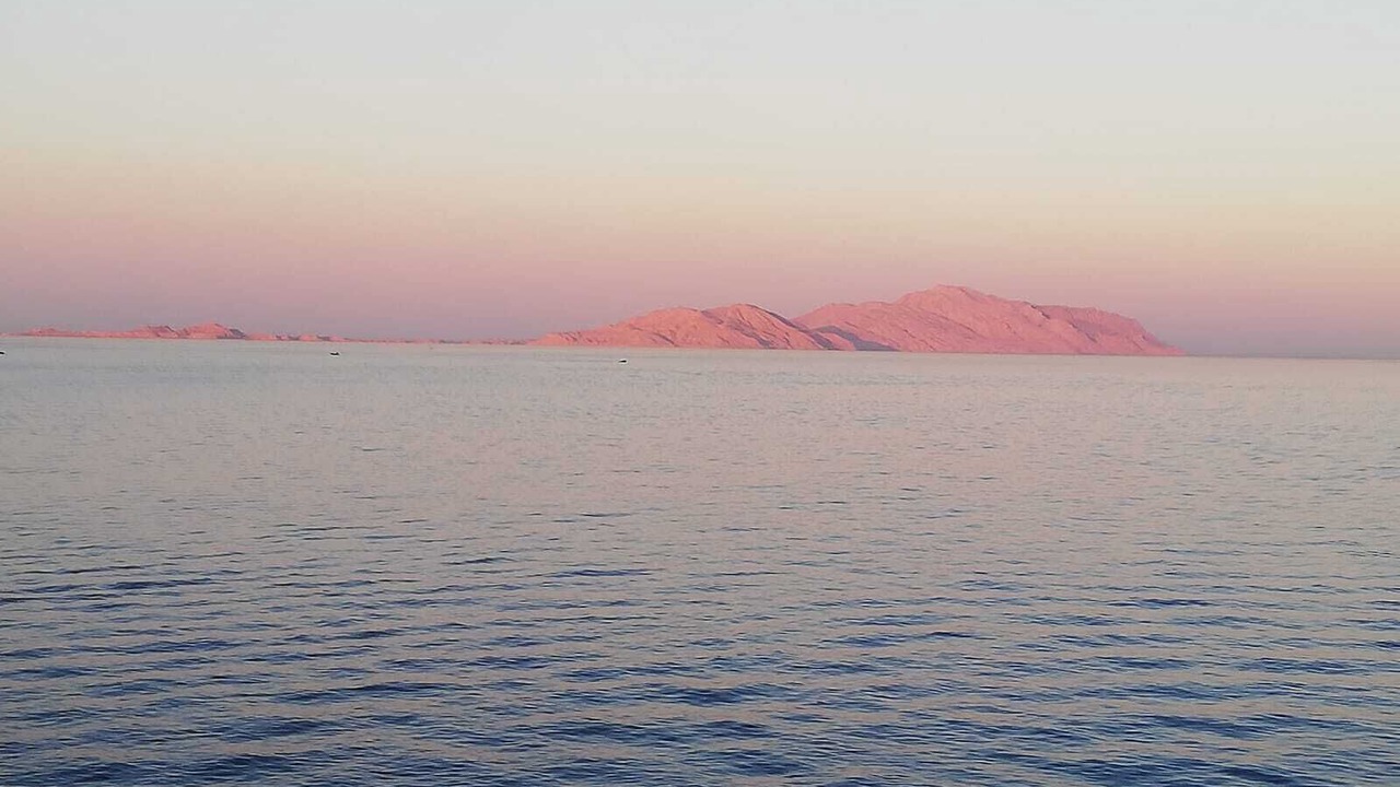 Photo of Others in Sharm El Sheikh