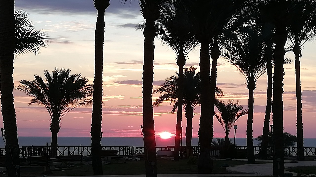 Photo of Outdoor in Sharm El Sheikh