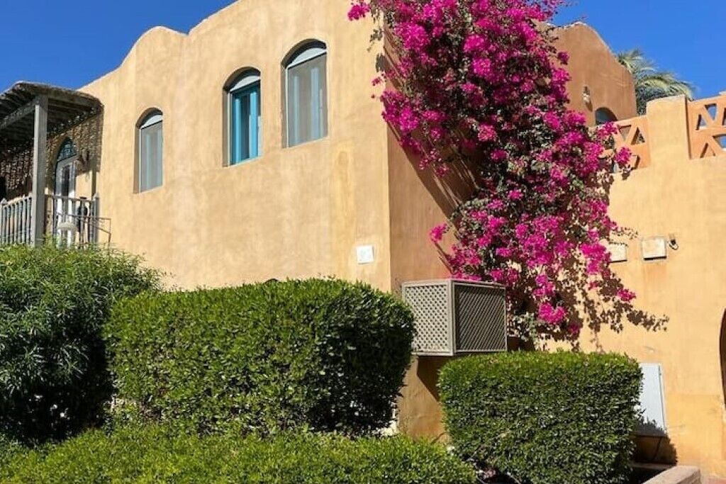 Photo of Outdoor in El Gouna