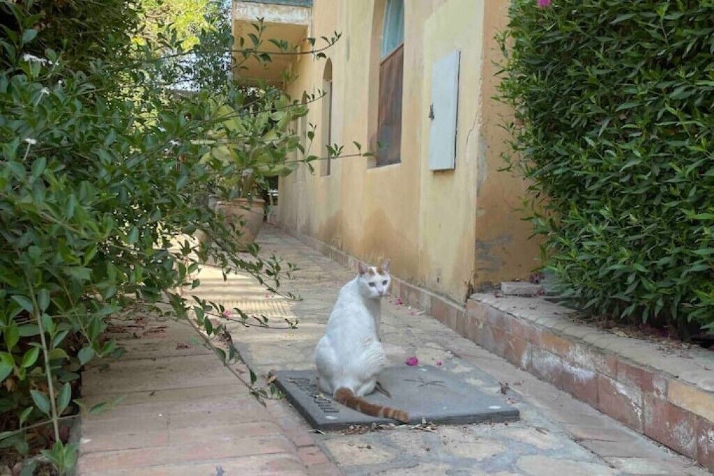 Photo of Outdoor in El Gouna