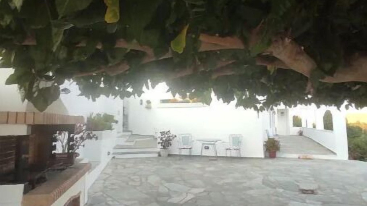 Photo of Outdoor in Paleopolis