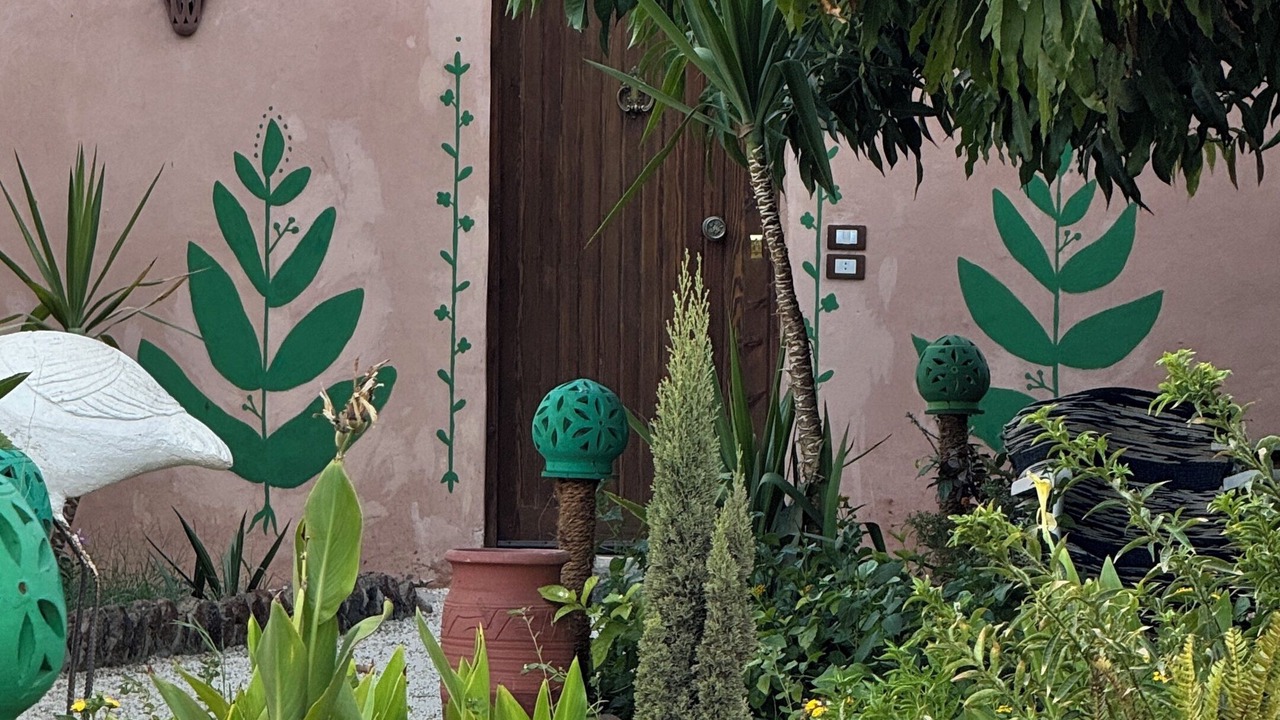 Photo of Outdoor in Luxor
