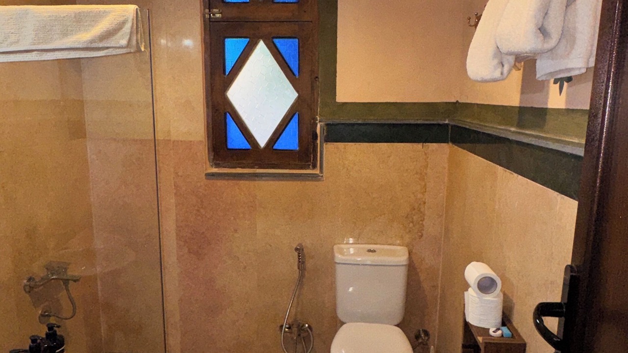 Photo of Bathroom in Luxor
