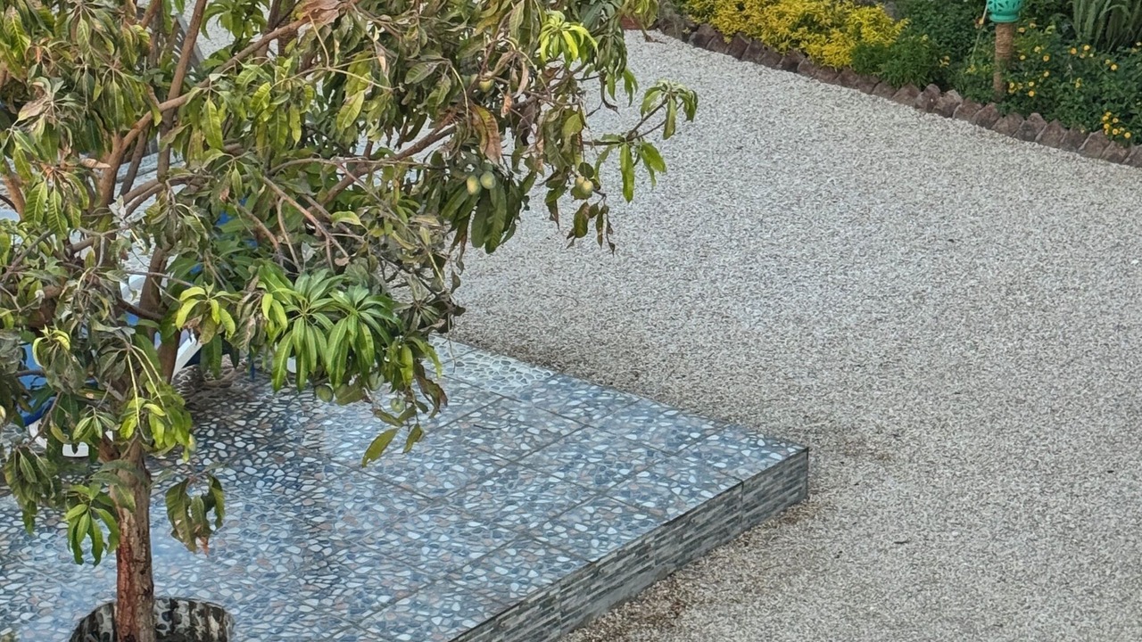 Photo of Outdoor in Luxor
