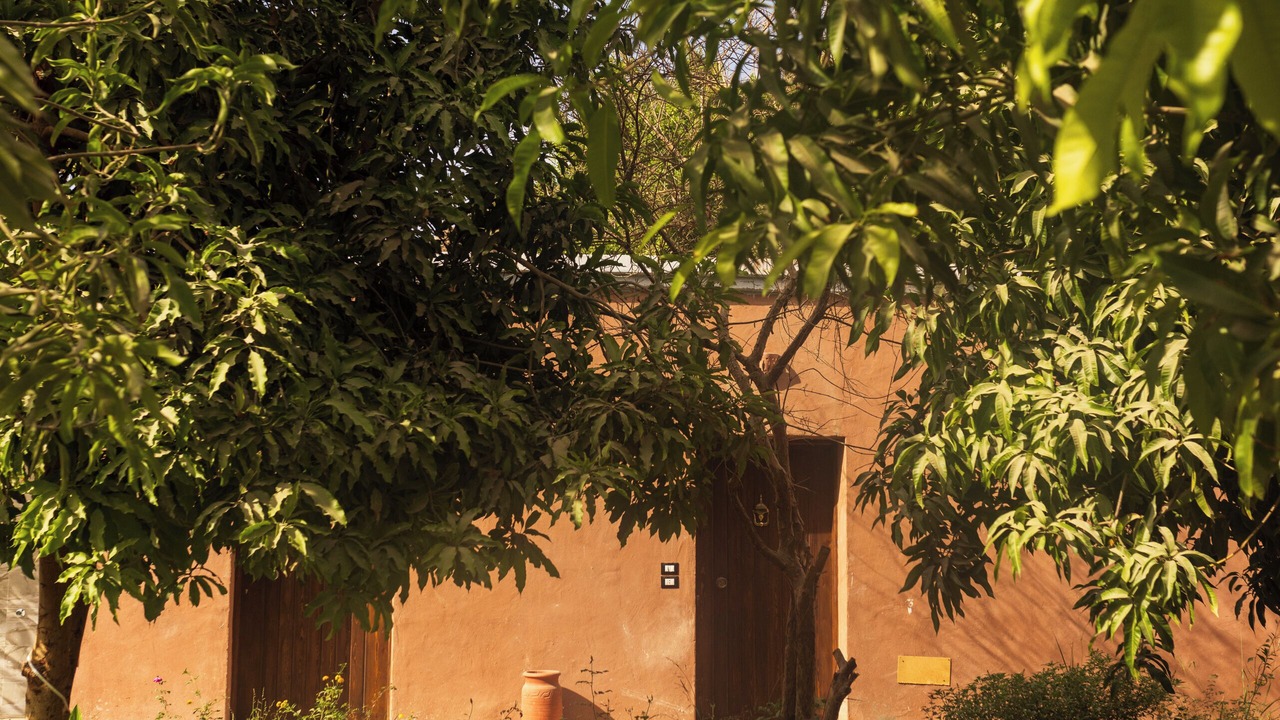 Photo of Outdoor in Luxor