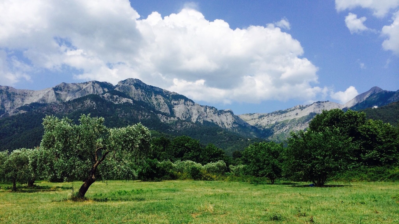 Photo of Outdoor in Skala Potamias