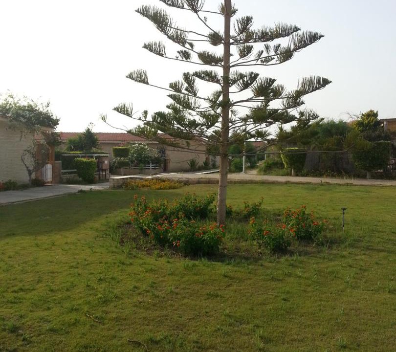 Photo of Others in Marina El Alamein