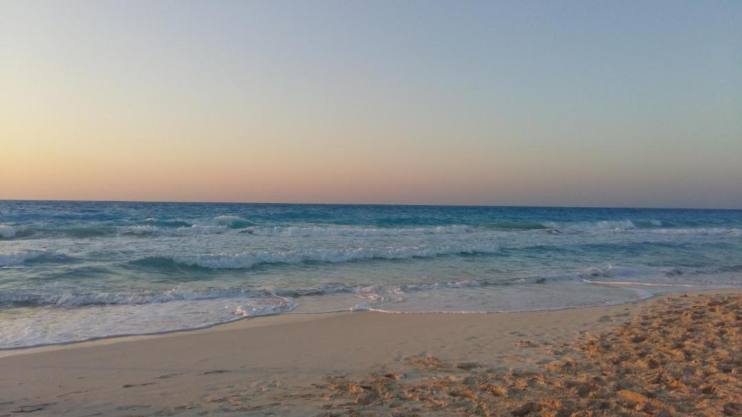 Photo of Others in Marina El Alamein