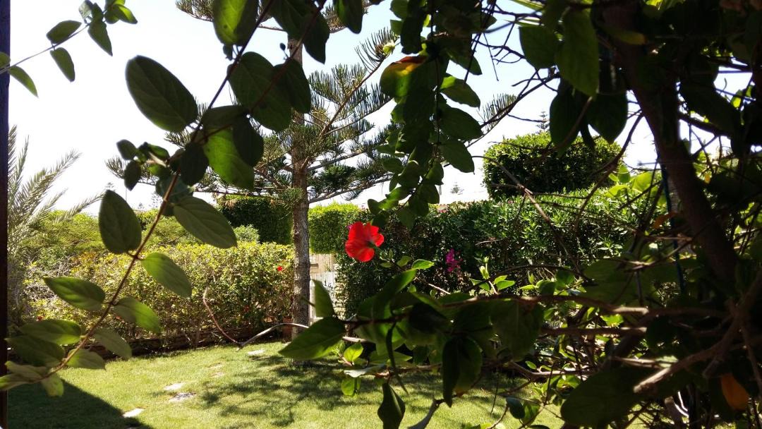 Photo of Others in Marina El Alamein