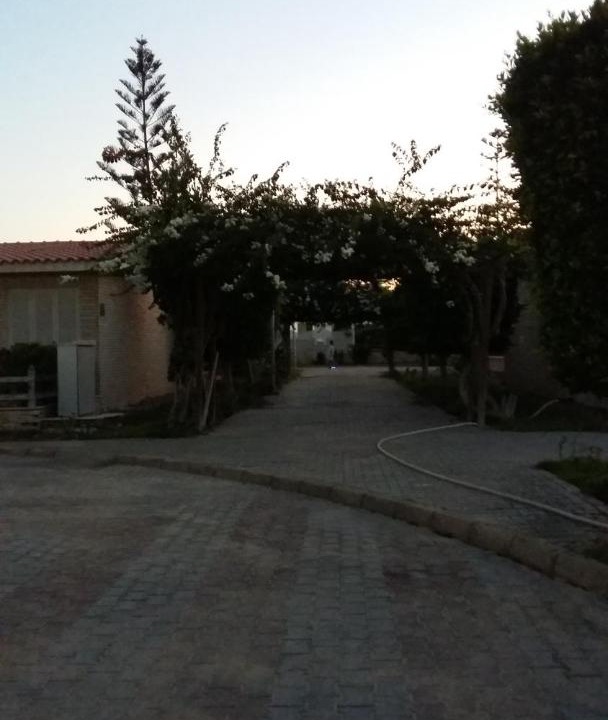 Photo of Others in Marina El Alamein