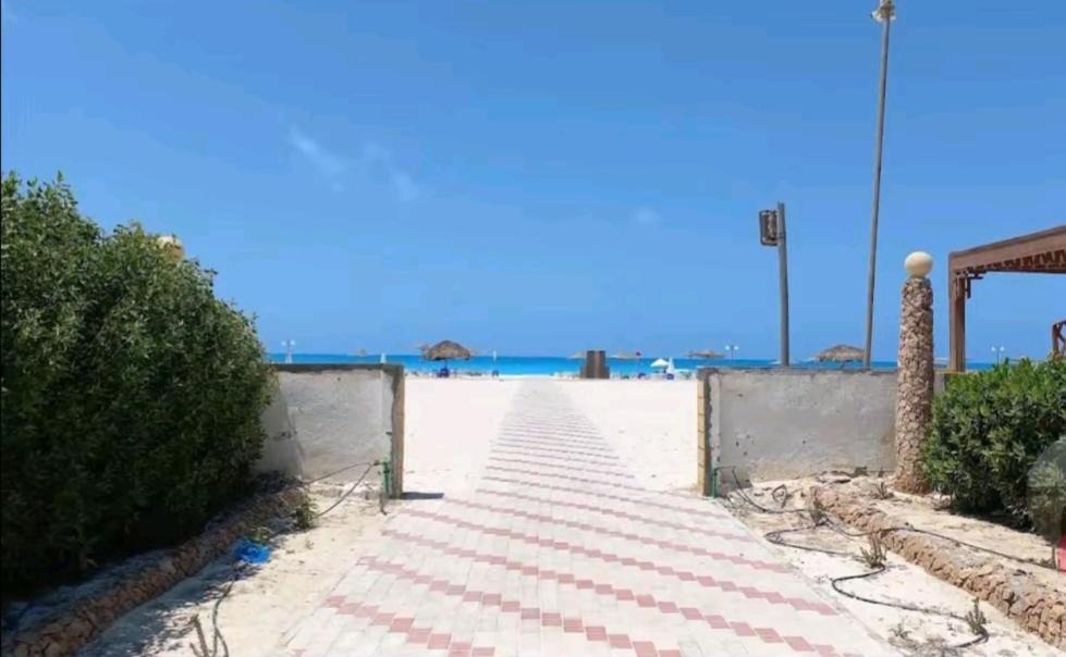 Photo of Others in Borg el Arab