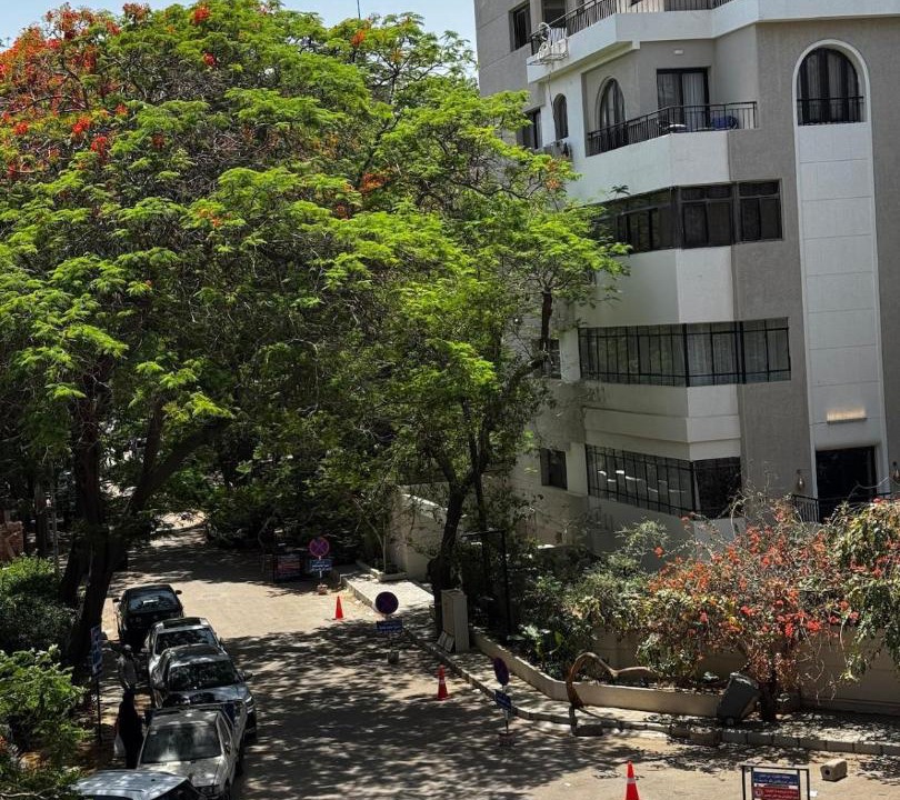 Photo of Others in Maadi
