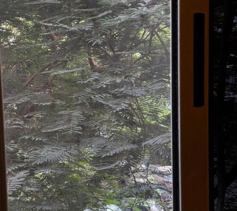 Photo of Others in Maadi