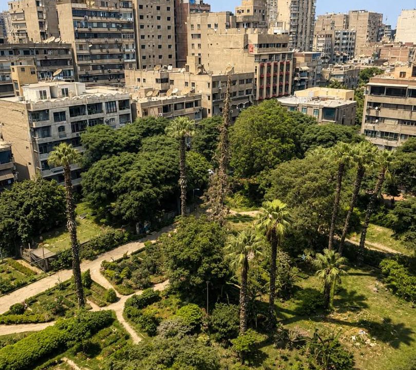 Photo of Others in Agouza