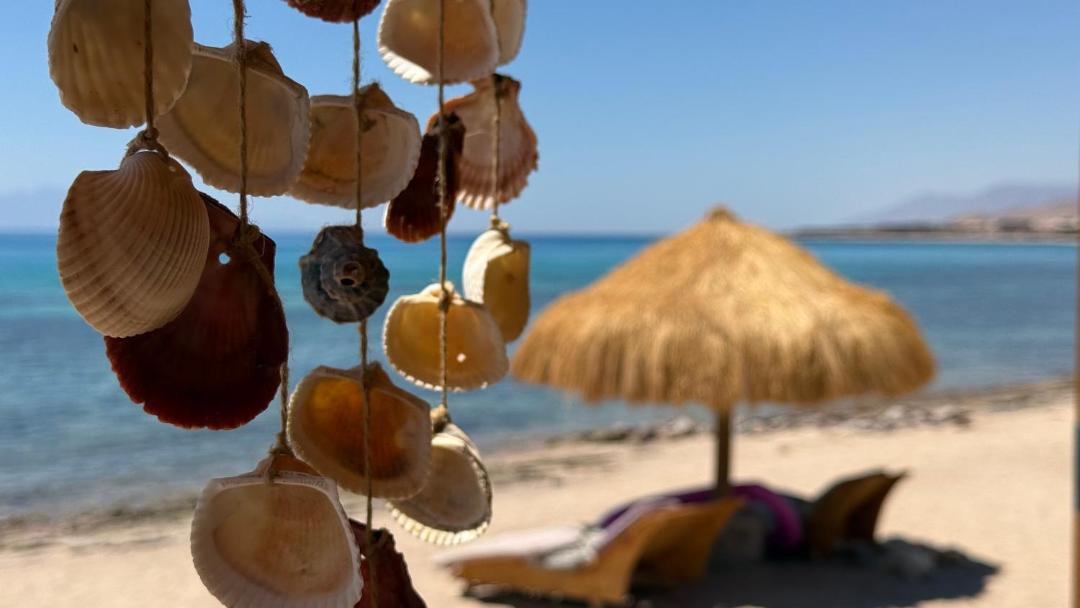 Photo of Others in Nuweiba