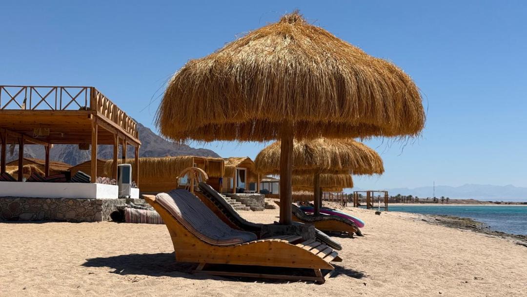 Photo of Others in Nuweiba