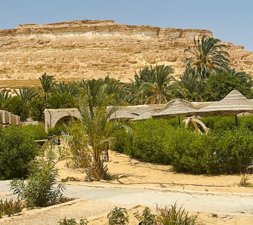 Photo of Others in Siwa