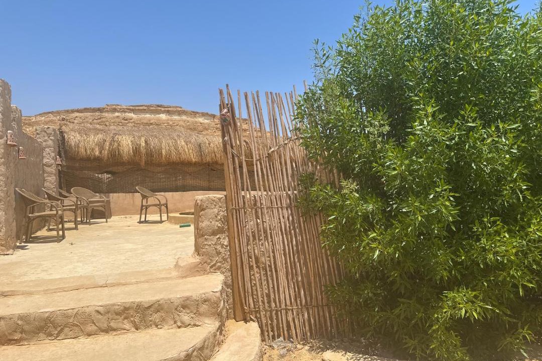 Photo of Others in Siwa