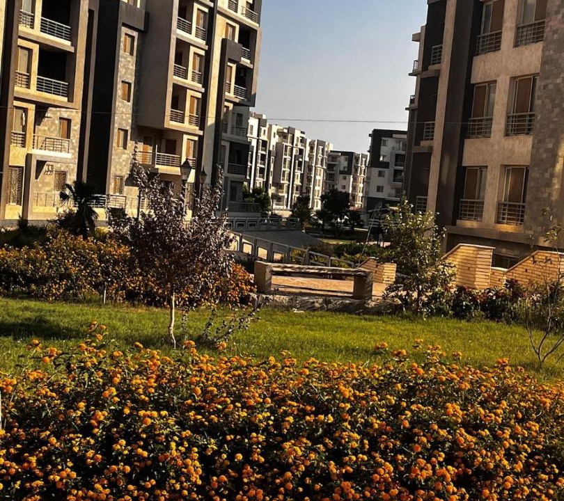 Photo of Others in New Cairo