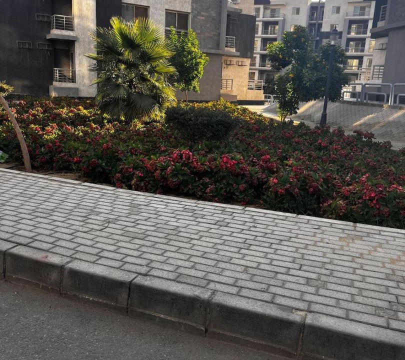 Photo of Others in New Cairo