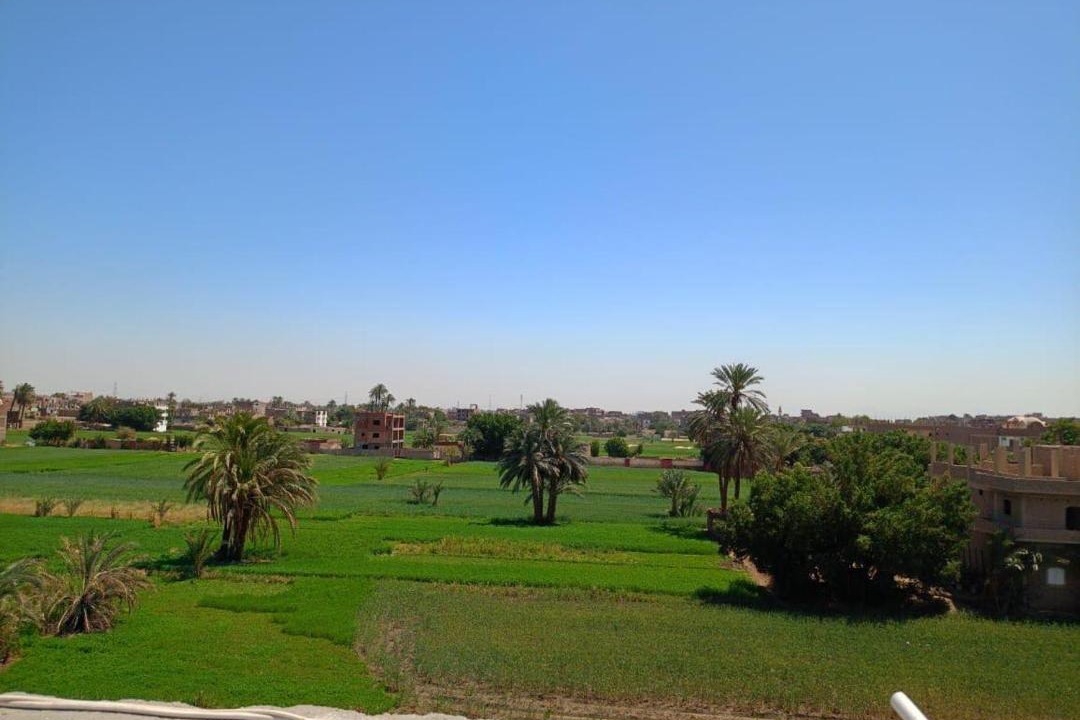 Photo of Others in Luxor