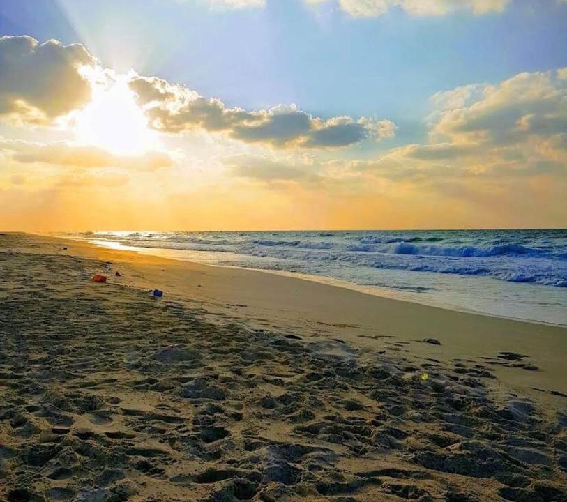 Photo of Others in Borg el Arab